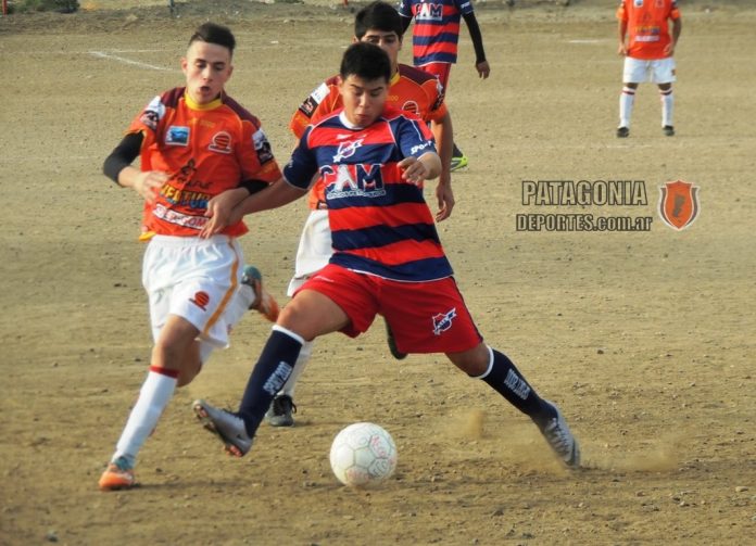 DSCN0010 (Copiar)