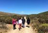 La caminata, una alternativa para el verano